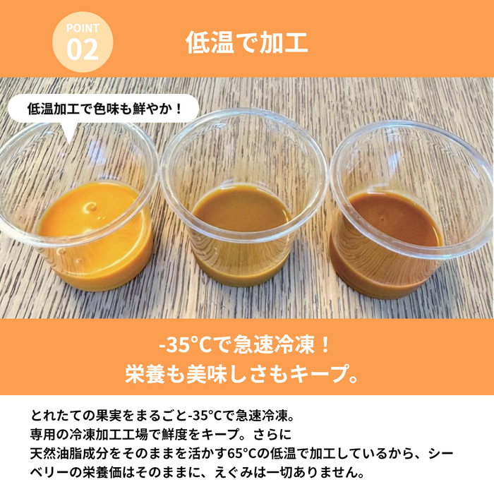 北欧産プレミアム シーベリージュース 250mL × 2