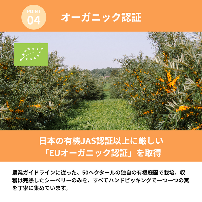 北欧産プレミアム シーベリージュース 250mL × 2